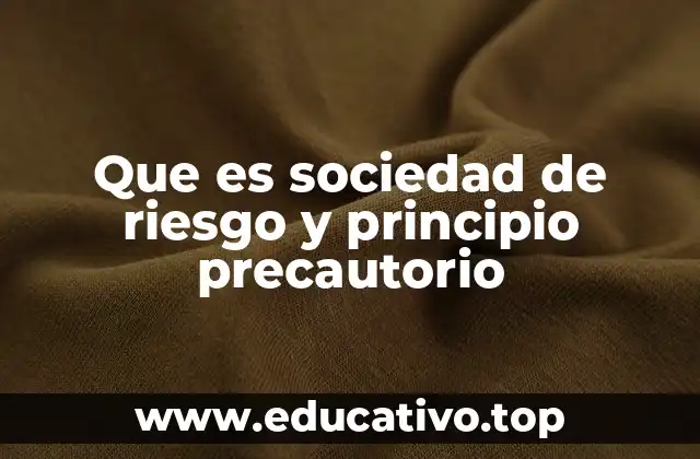 Que es sociedad de riesgo y principio precautorio