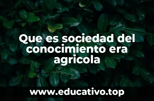 Que es sociedad del conocimiento era agricola