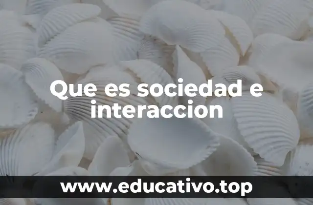 Que es sociedad e interaccion