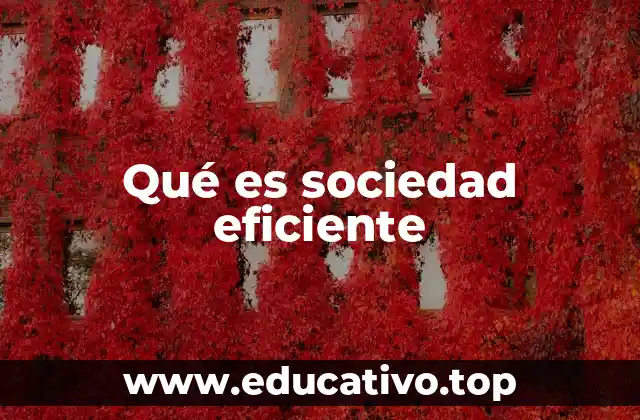 Qué es sociedad eficiente