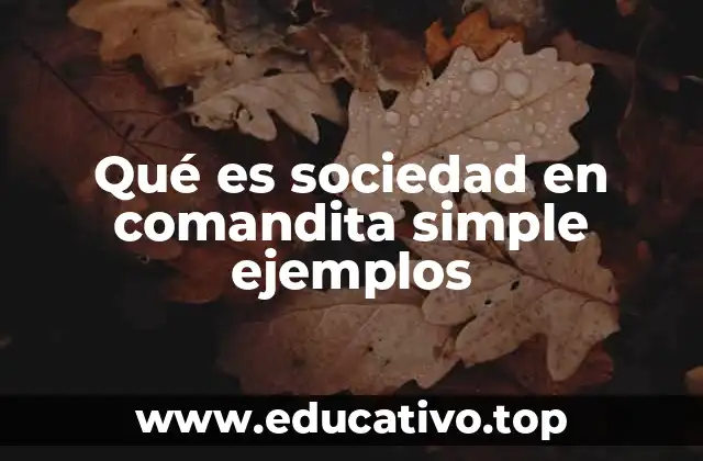 Qué es sociedad en comandita simple ejemplos