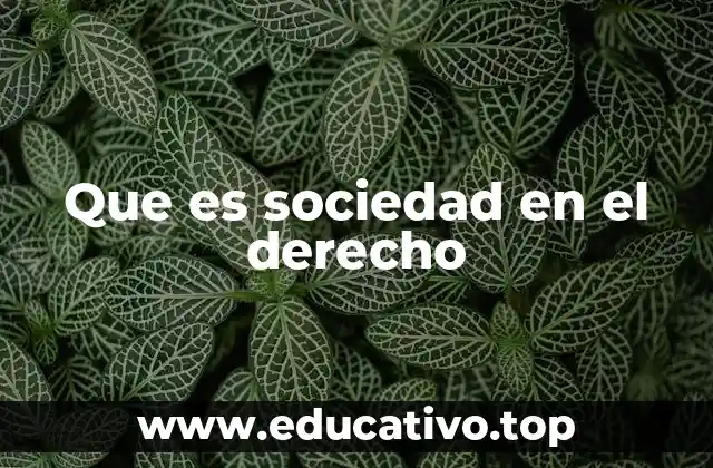 Que es sociedad en el derecho