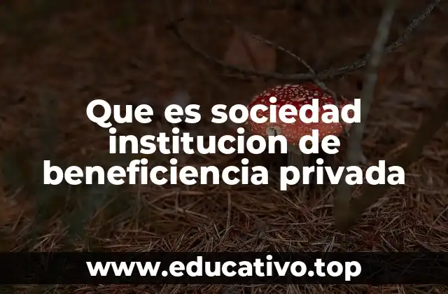 Que es sociedad institucion de beneficiencia privada