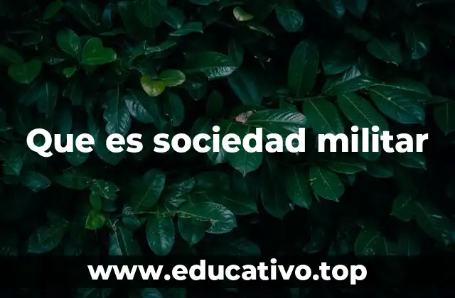 Que es sociedad militar