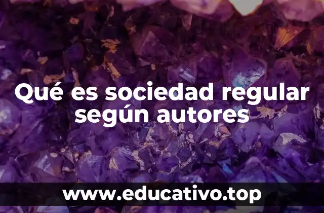 Qué es sociedad regular según autores