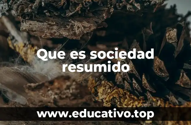 Que es sociedad resumido