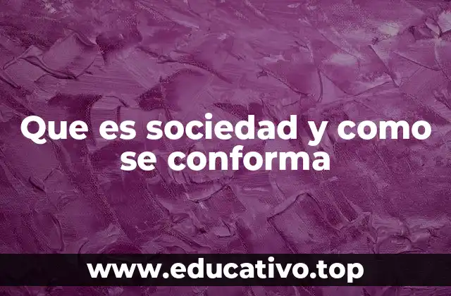 Que es sociedad y como se conforma