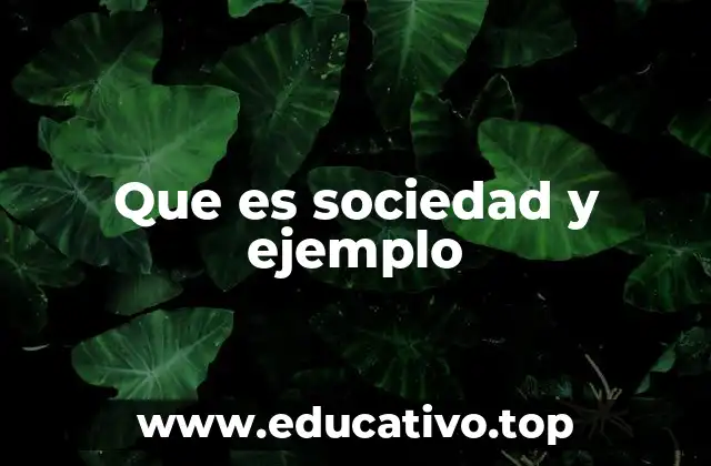 Que es sociedad y ejemplo