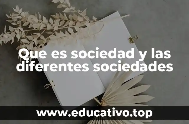 Que es sociedad y las diferentes sociedades