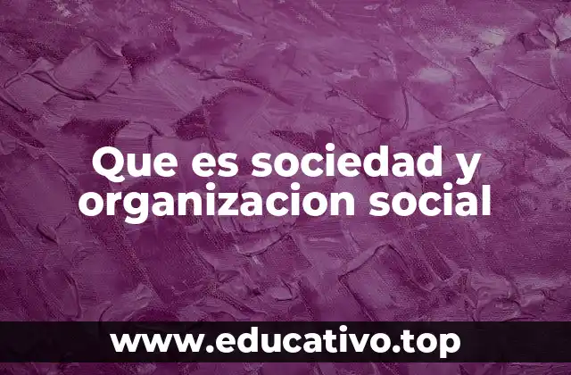 Que es sociedad y organizacion social