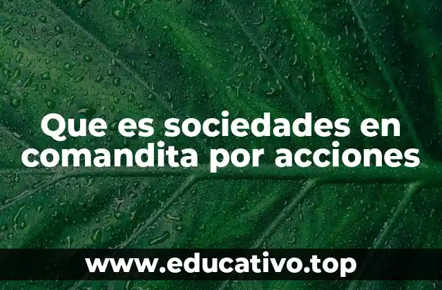 Que es sociedades en comandita por acciones