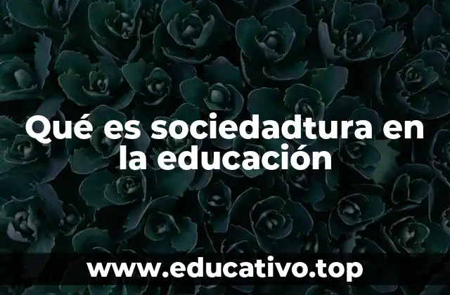 Qué es sociedadtura en la educación