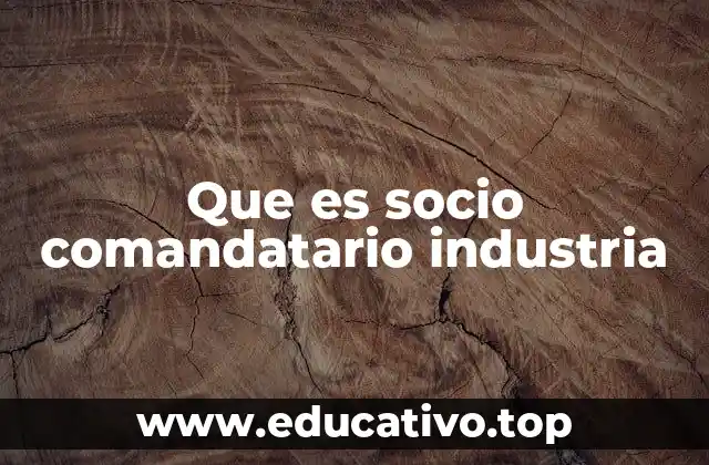 Que es socio comandatario industria