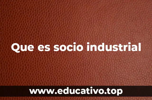 Que es socio industrial