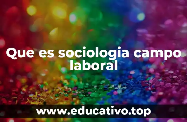 Que es sociologia campo laboral