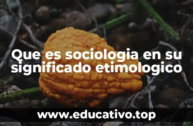 Que es sociologia en su significado etimologico