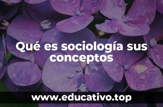 Qué es sociología sus conceptos