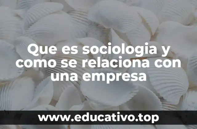 La influencia de las estructuras sociales en el entorno empresarial