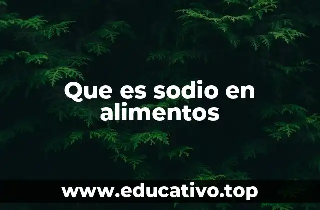 Que es sodio en alimentos