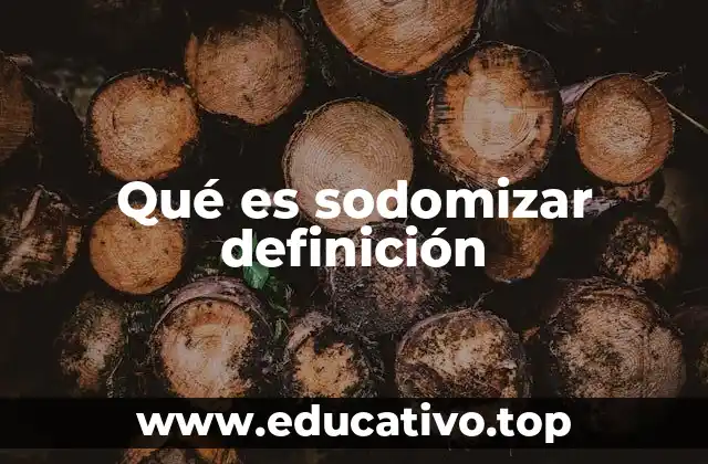 Qué es sodomizar definición