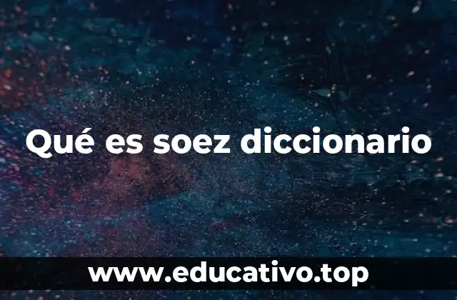 Qué es soez diccionario