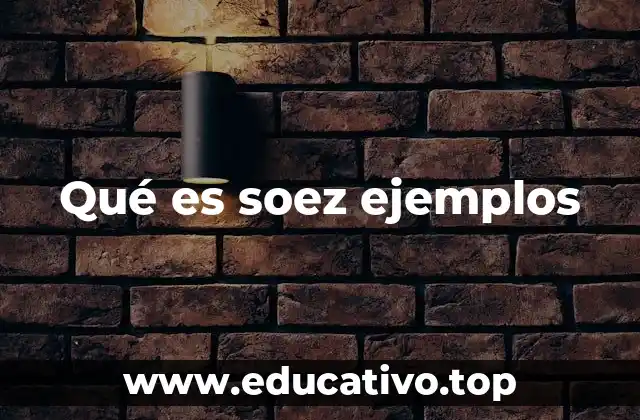 Qué es soez ejemplos