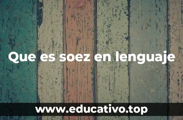 Que es soez en lenguaje