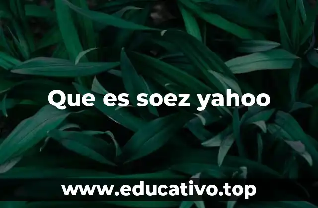Que es soez yahoo