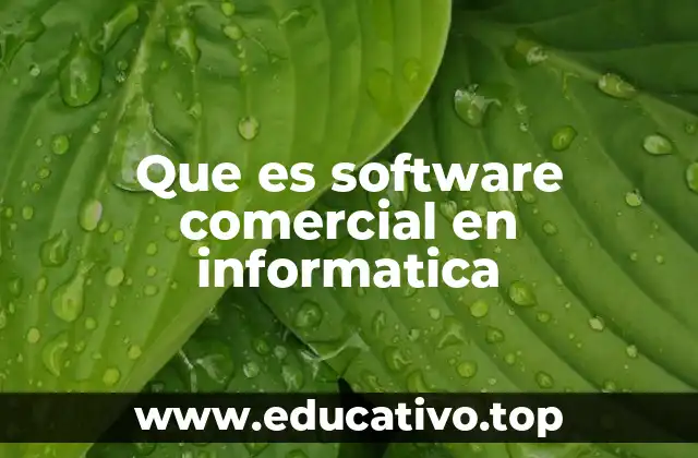 Que es software comercial en informatica