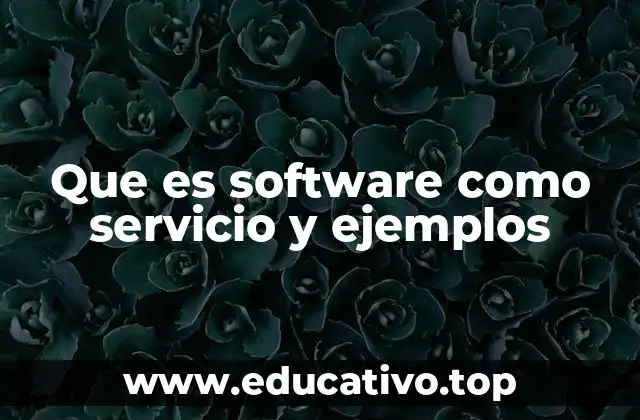 Que es software como servicio y ejemplos