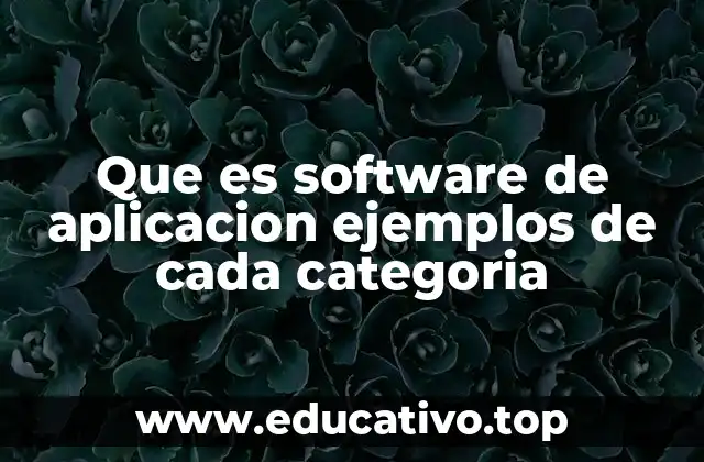 Que es software de aplicacion ejemplos de cada categoria