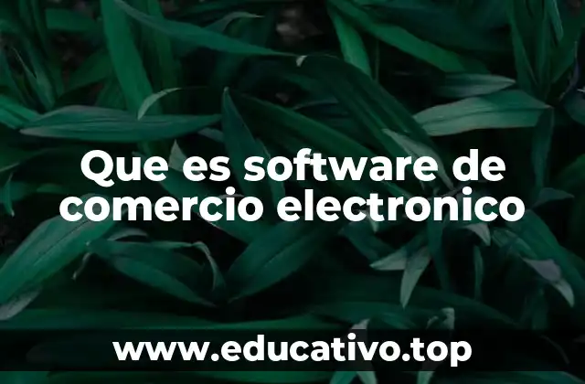 Que es software de comercio electronico
