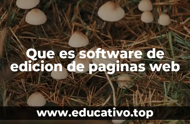 Que es software de edicion de paginas web