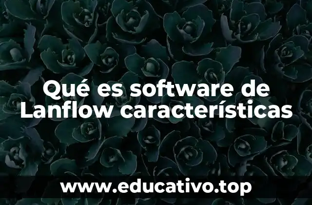 Qué es software de Lanflow características