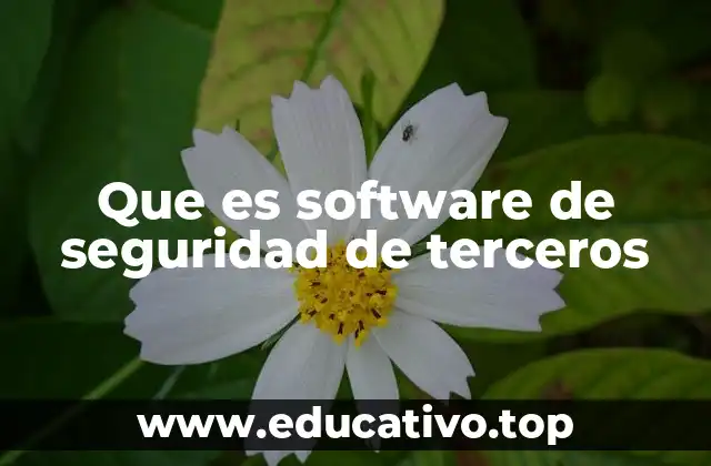 Que es software de seguridad de terceros
