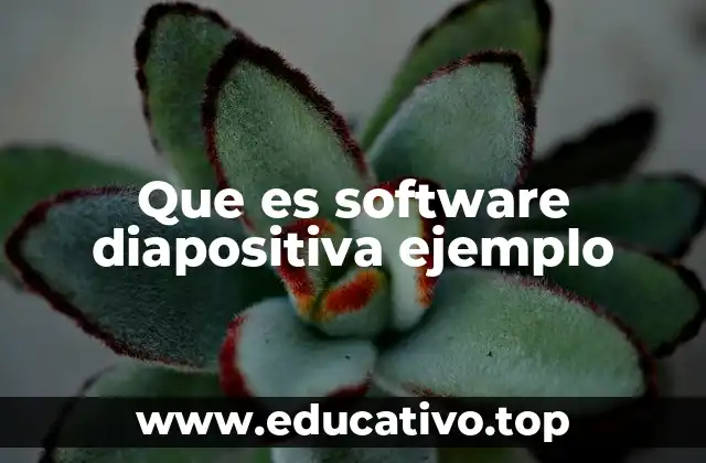 Que es software diapositiva ejemplo