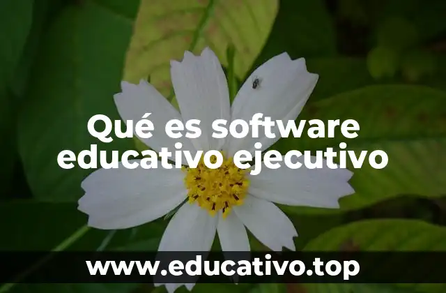 La importancia de las herramientas digitales en la formación ejecutiva