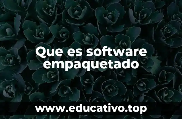 Que es software empaquetado