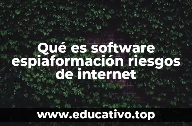 Qué es software espiaformación riesgos de internet