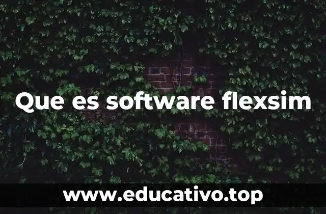 Que es software flexsim