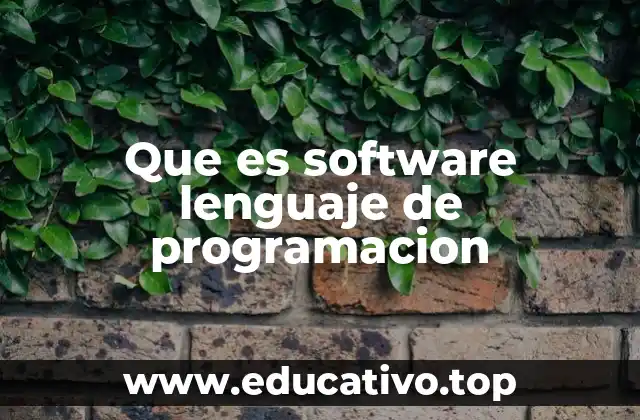 Que es software lenguaje de programacion