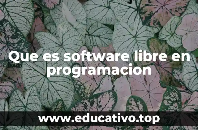 Que es software libre en programacion