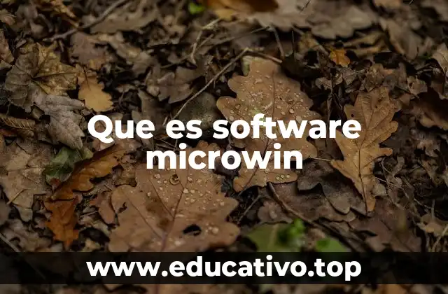 Que es software microwin