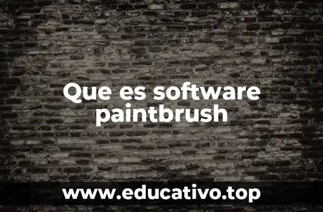 Que es software paintbrush