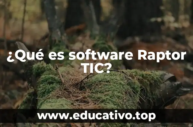 ¿Qué es software Raptor TIC?
