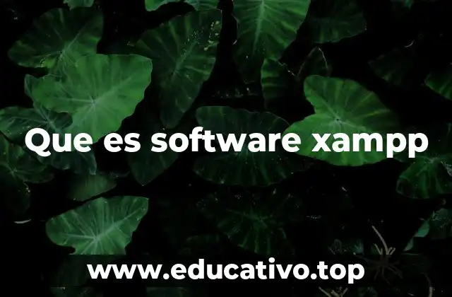 Entornos de desarrollo locales y su importancia