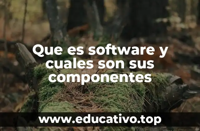 Que es software y cuales son sus componentes