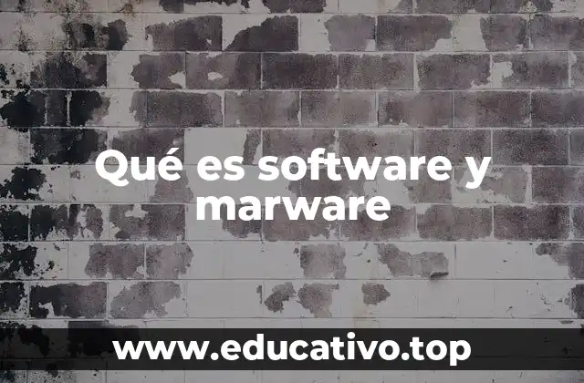 Qué es software y marware