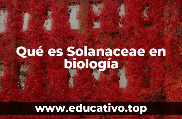 Qué es Solanaceae en biología