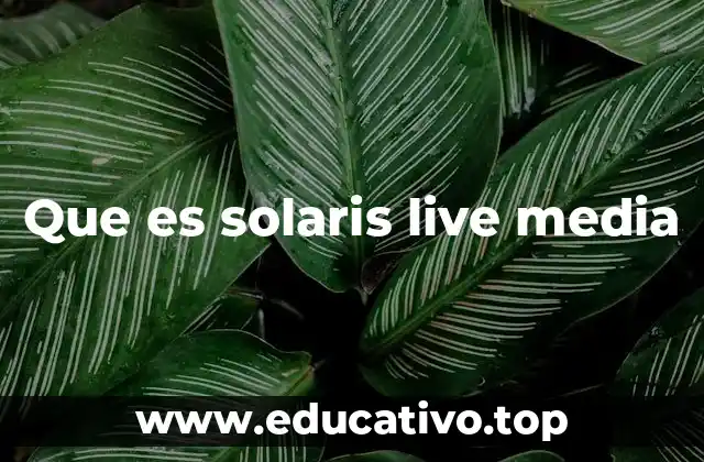 Que es solaris live media